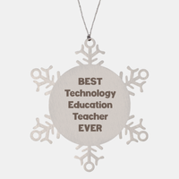 Load image into Gallery viewer, Best Technology Education Teacher Ever Ornament Gift Stainless Steel Snowflake Ornament Christmas – front view
