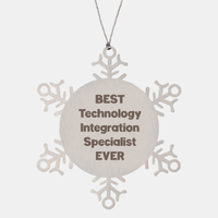 Load image into Gallery viewer, Best Technology Integration Specialist Ever Ornament Gift Stainless Steel Snowflake Ornament Christmas – front view
