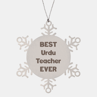Load image into Gallery viewer, Best Urdu Teacher Ever Ornament Gift Stainless Steel Snowflake Ornament Christmas – front view
