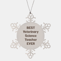 Load image into Gallery viewer, Best Veterinary Science Teacher Ever Ornament Gift Stainless Steel Snowflake Ornament Christmas – front view
