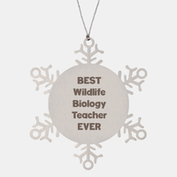Load image into Gallery viewer, Best Wildlife Biology Teacher Ever Ornament Gift Stainless Steel Snowflake Ornament Christmas – front view

