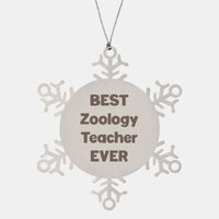 Load image into Gallery viewer, Best Zoology Teacher Ever Ornament Gift Stainless Steel Snowflake Ornament Christmas – front view
