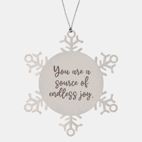 Load image into Gallery viewer, Snowflake Christmas Ornament for Family and Friends You are a source of endless joy Ornament for Best Friend Him Her Stainless Steel – front view
