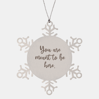 Load image into Gallery viewer, Snowflake Christmas Ornament for Family and Friends You are meant to be here Ornament for Best Friend Him Her Stainless Steel – front view
