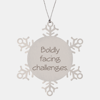 Load image into Gallery viewer, Coworker Christmas Ornament Colleague Christmas Gifts Boldly facing challenges Ornament Appreciation for Him Her Stainless Steel – front view
