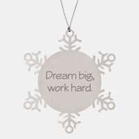 Load image into Gallery viewer, Coworker Christmas Ornament Colleague Christmas Gifts Dream big work hard Ornament Appreciation for Him Her Stainless Steel – front view
