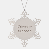 Load image into Gallery viewer, Coworker Christmas Ornament Colleague Christmas Gifts Driven to succeed Ornament Appreciation for Him Her Stainless Steel – front view
