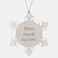 Load image into Gallery viewer, Coworker Christmas Ornament Colleague Christmas Gifts Effort equals success Ornament Appreciation for Him Her Stainless Steel – front view
