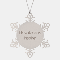 Load image into Gallery viewer, Coworker Christmas Ornament Colleague Christmas Gifts Elevate and inspire Ornament Appreciation for Him Her Stainless Steel – front view
