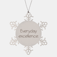 Load image into Gallery viewer, Coworker Christmas Ornament Colleague Christmas Gifts Everyday excellence Ornament Appreciation for Him Her Stainless Steel – front view
