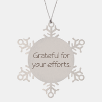 Load image into Gallery viewer, Coworker Christmas Ornament Colleague Christmas Gifts Grateful for your efforts Ornament Appreciation for Him Her Stainless Steel – front view
