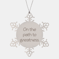 Load image into Gallery viewer, Coworker Christmas Ornament Colleague Christmas Gifts On the path to greatness Ornament Appreciation for Him Her Stainless Steel – front view
