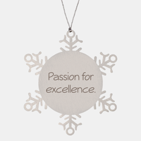Load image into Gallery viewer, Coworker Christmas Ornament Colleague Christmas Gifts Passion for excellence Ornament Appreciation for Him Her Stainless Steel – front view
