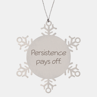 Load image into Gallery viewer, Coworker Christmas Ornament Colleague Christmas Gifts Persistence pays off Ornament Appreciation for Him Her Stainless Steel – front view

