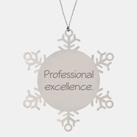 Load image into Gallery viewer, Coworker Christmas Ornament Colleague Christmas Gifts Professional excellence Ornament Appreciation for Him Her Stainless Steel – front view

