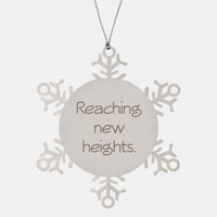 Load image into Gallery viewer, Coworker Christmas Ornament Colleague Christmas Gifts Reaching new heights Ornament Appreciation for Him Her Stainless Steel – front view
