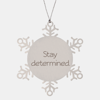 Load image into Gallery viewer, Coworker Christmas Ornament Colleague Christmas Gifts Stay determined Ornament Appreciation for Him Her Stainless Steel – front view

