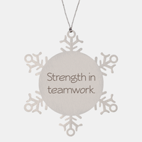Load image into Gallery viewer, Coworker Christmas Ornament Colleague Christmas Gifts Strength in teamwork Ornament Appreciation for Him Her Stainless Steel – front view
