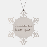 Load image into Gallery viewer, Coworker Christmas Ornament Colleague Christmas Gifts Success is a team sport Ornament Appreciation for Him Her Stainless Steel – front view

