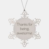 Load image into Gallery viewer, Coworker Christmas Ornament Colleague Christmas Gifts Thanks for being awesome Ornament Appreciation for Him Her Stainless Steel – front view
