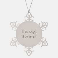 Load image into Gallery viewer, Coworker Christmas Ornament Colleague Christmas Gifts The skys the limit Ornament Appreciation for Him Her Stainless Steel – front view
