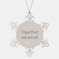 Load image into Gallery viewer, Coworker Christmas Ornament Colleague Christmas Gifts Together we excel Ornament Appreciation for Him Her Stainless Steel – front view
