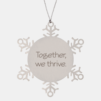 Load image into Gallery viewer, Coworker Christmas Ornament Colleague Christmas Gifts Together we thrive Ornament Appreciation for Him Her Stainless Steel – front view
