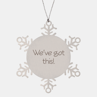 Load image into Gallery viewer, Coworker Christmas Ornament Colleague Christmas Gifts Weve got this! Ornament Appreciation for Him Her Stainless Steel – front view
