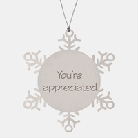 Load image into Gallery viewer, Coworker Christmas Ornament Colleague Christmas Gifts Youre appreciated Ornament Appreciation for Him Her Stainless Steel – front view
