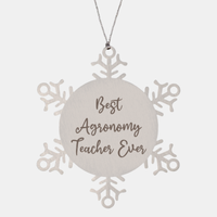 Load image into Gallery viewer, Best Agronomy Teacher Ever Ornament Christmas Gift for Him Her Snowflake Ornament

