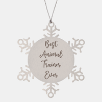 Load image into Gallery viewer, Best Animal Trainer Ever Ornament Christmas Gift for Him Her Snowflake Ornament
