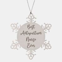 Load image into Gallery viewer, Best Antepartum Nurse Ever Ornament Christmas Gift for Him Her Snowflake Ornament
