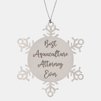 Load image into Gallery viewer, Best Aquaculture Attorney Ever Ornament Christmas Gift for Him Her Snowflake Ornament
