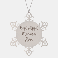 Load image into Gallery viewer, Best Asset Manager Ever Ornament Christmas Gift for Him Her Snowflake Ornament
