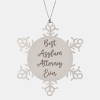 Load image into Gallery viewer, Best Asylum Attorney Ever Ornament Christmas Gift for Him Her Snowflake Ornament
