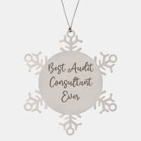 Load image into Gallery viewer, Best Audit Consultant Ever Ornament Christmas Gift for Him Her Snowflake Ornament
