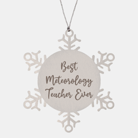 Load image into Gallery viewer, Best Meteorology Teacher Ever Ornament Christmas Gift for Him Her Snowflake Ornament

