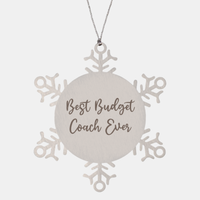 Load image into Gallery viewer, Best Budget Coach Ever Ornament Christmas Gift for Him Her Snowflake Ornament
