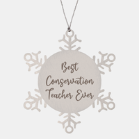 Load image into Gallery viewer, Best Conservation Teacher Ever Ornament Christmas Gift for Him Her Snowflake Ornament
