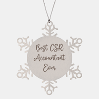 Load image into Gallery viewer, Best CSR Accountant Ever Ornament Christmas Gift for Him Her Snowflake Ornament
