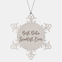 Load image into Gallery viewer, Best Data Scientist Ever Ornament Christmas Gift for Him Her Snowflake Ornament
