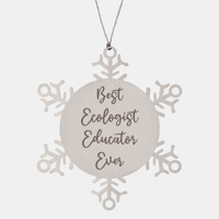 Load image into Gallery viewer, Best Ecologist Educator Ever Ornament Christmas Gift for Him Her Snowflake Ornament
