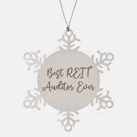 Load image into Gallery viewer, Best REIT Auditor Ever Ornament Christmas Gift for Him Her Snowflake Ornament
