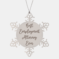 Load image into Gallery viewer, Best Employment Attorney Ever Ornament Christmas Gift for Him Her Snowflake Ornament

