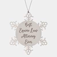 Load image into Gallery viewer, Best Equine Law Attorney Ever Ornament Christmas Gift for Him Her Snowflake Ornament
