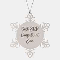 Load image into Gallery viewer, Best ERP Consultant Ever Ornament Christmas Gift for Him Her Snowflake Ornament
