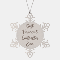 Load image into Gallery viewer, Best Financial Controller Ever Ornament Christmas Gift for Him Her Snowflake Ornament
