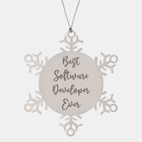 Load image into Gallery viewer, Best Software Developer Ever Ornament Christmas Gift for Him Her Snowflake Ornament
