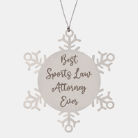 Load image into Gallery viewer, Best Sports Law Attorney Ever Ornament Christmas Gift for Him Her Snowflake Ornament
