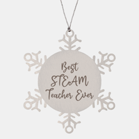 Load image into Gallery viewer, Best STEAM Teacher Ever Ornament Christmas Gift for Him Her Snowflake Ornament
